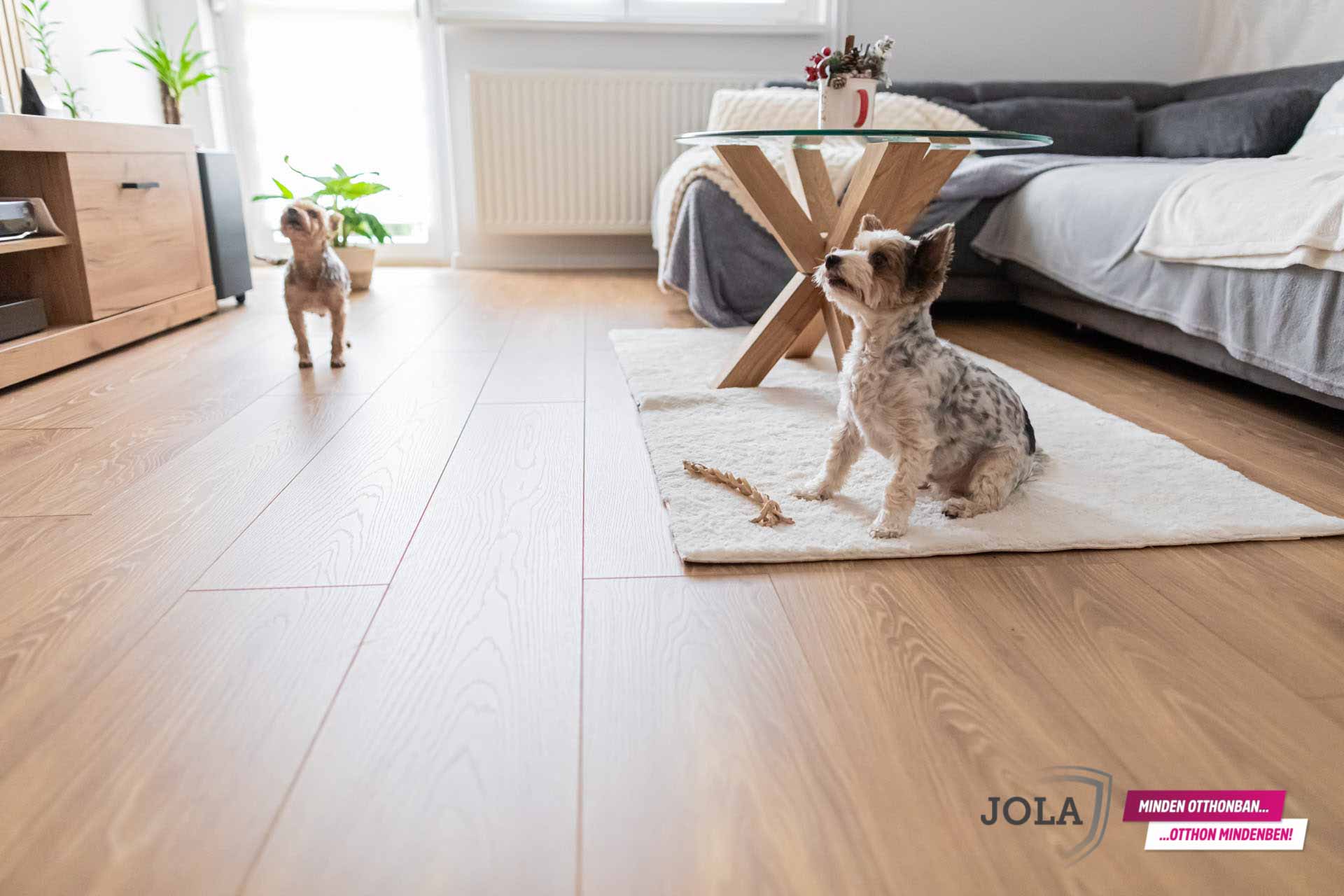 Padló referencia | Jola
